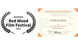 <p> <strong>Red Wood Film Festival</strong>,  Dezembro 2020</p>