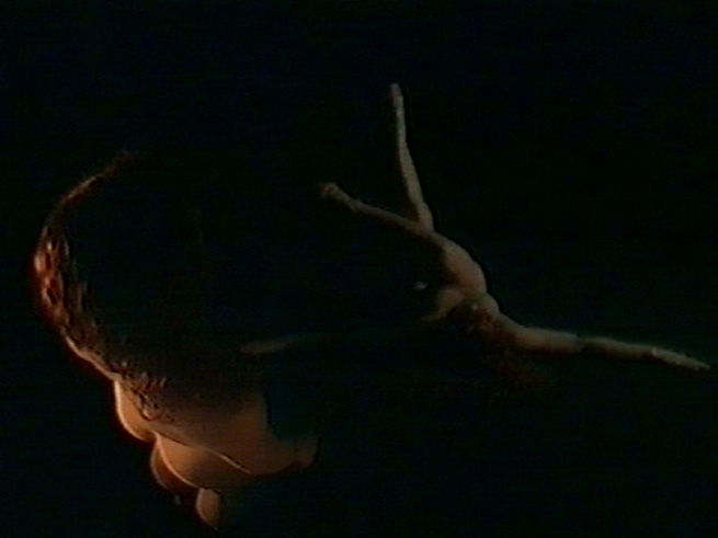 IN EXTREMIS <small>- VideoDance</small>